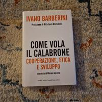 come vola il calabrone 