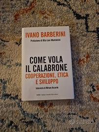 come vola il calabrone 