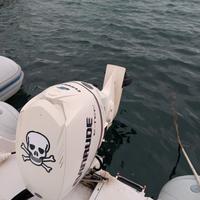 Evinrude 90cv e-tech