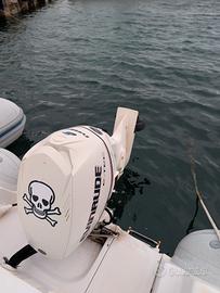 Evinrude 90cv e-tech