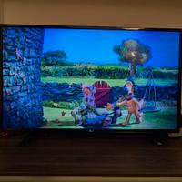 TV LG 43'' LCD modello 43LH510V