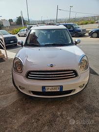 Minicountryman
