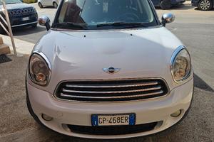 Minicountryman