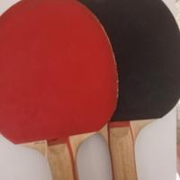 Racchette da ping pong 