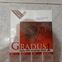 libro: latino