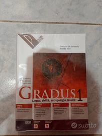 libro: latino