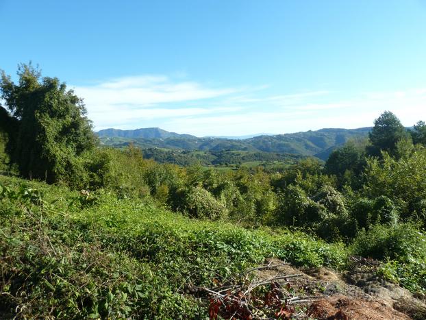 Terreno a Badia Calavena (VR)