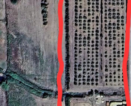 Vendita casa + terreno