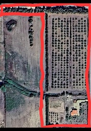 Vendita casa + terreno