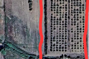 Vendita casa + terreno