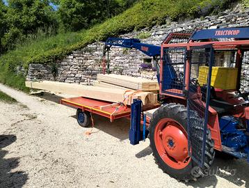 Trattore da cantiere o da collezione