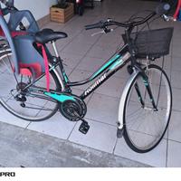 bicicletta da passeggio