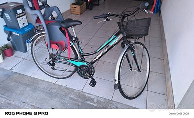bicicletta da passeggio