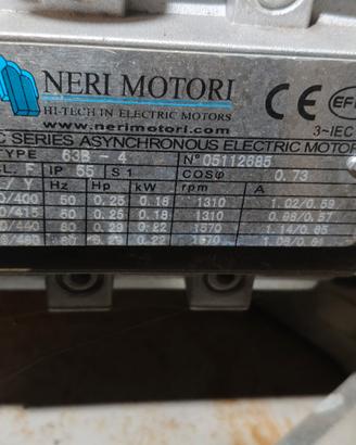 Motore trifasico