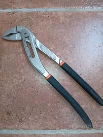 pinza a pappagallo beta