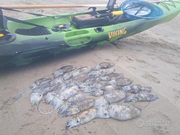 Kayak viking profish reload 450
