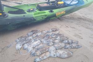 Kayak viking profish reload 450