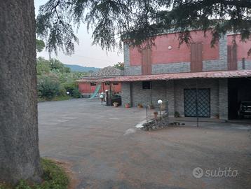 Last minute low cost