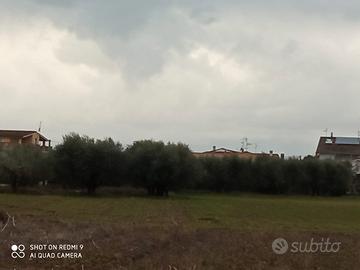 Ampio terreno edificabile villareia