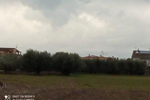 Ampio terreno edificabile villareia