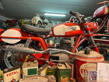 MV AGUSTA regolarità 125cc
