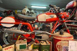MV AGUSTA regolarità 125cc