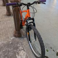 MTB 26 OLMO SENTIERO