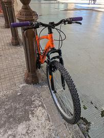 MTB 26 OLMO SENTIERO