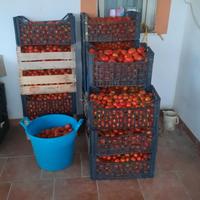 pomodoro 
