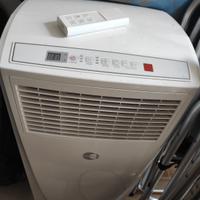 condizionatore portatile 7000 btu 