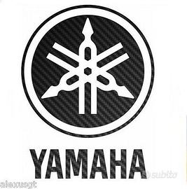 Accessori yamaha carbonio