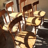 sedie in legno