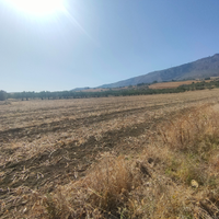 Terreno con casa rustica