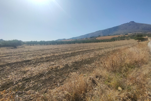 Terreno con casa rustica