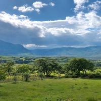 Terreno agricolo 28 HA con fabbricati | TR404