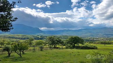 Terreno agricolo 28 HA con fabbricati | TR404