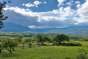 Terreno agricolo 28 HA con fabbricati | TR404