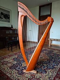 Arpa Salvi 38 corde