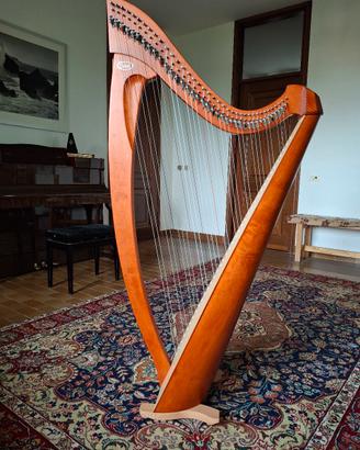 Arpa Salvi 38 corde