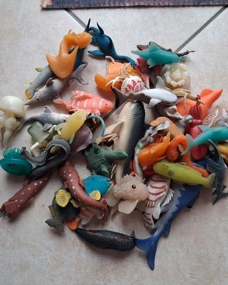 Collezione mista animali marini serie "&Co."