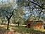 Immagine 17