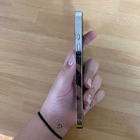iPhone 13pro