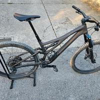 Specialized Stumpjumper EVO Expert