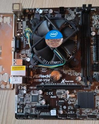 Scheda Madre Asrock H81M-VG4 + G3220 o i3-4170