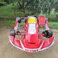 telaio Birel Art s18 