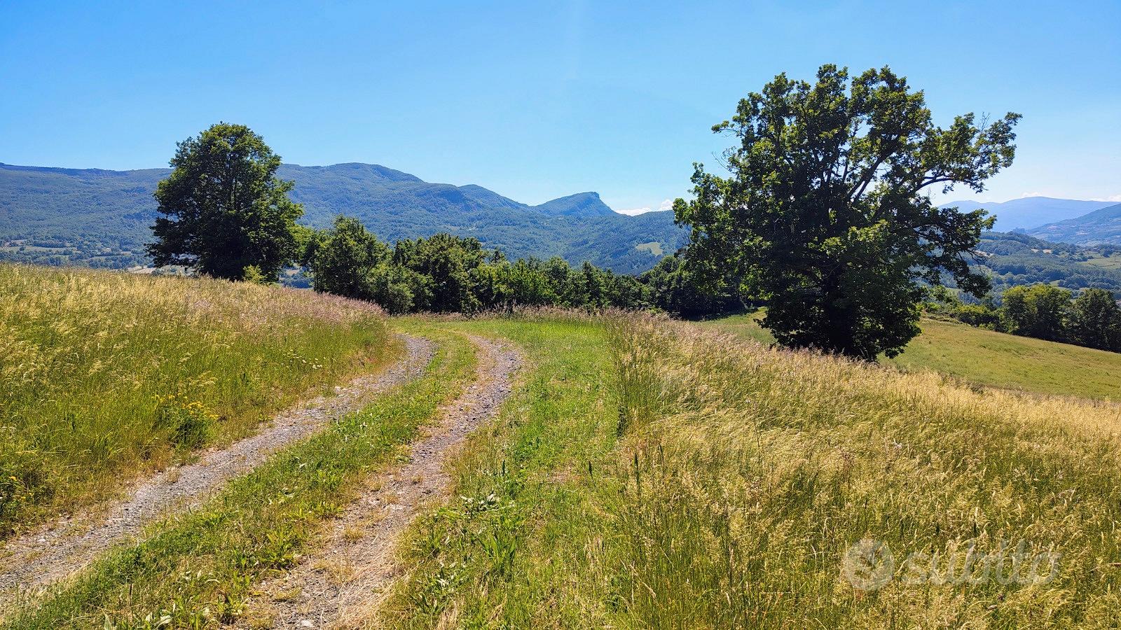 Terreni con ex fabbricato rurale - varsi - Vista 2