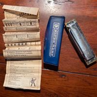 Armonica Hohner Blues Harp