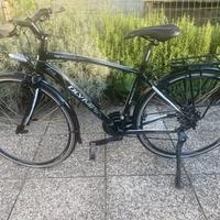 Bicicletta City Bike uomo Olimpia speedium