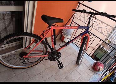 Mountain bike Bianchi