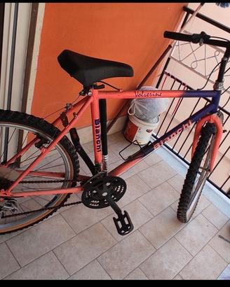 Mountain bike Bianchi